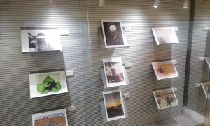Photo exhibition Prize