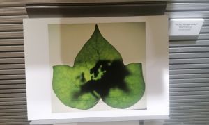 Photo exhibition Prize