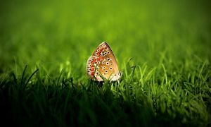 Ja tenim els guanyadors del Premi