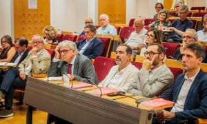 The more democratic, plural, and social a society is, the easier it is to make complex economic decisions